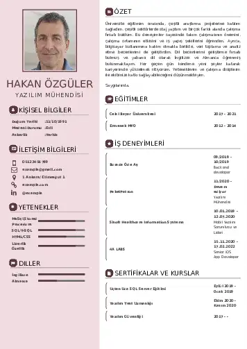 Yazılım Mühendisi Cv Örnekleri cv indir